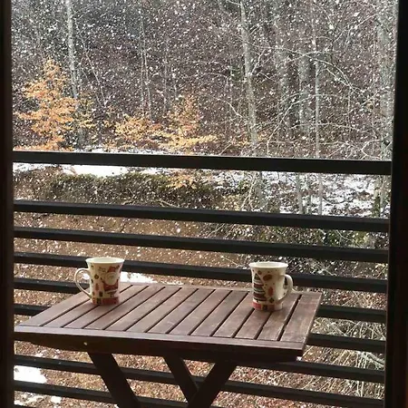 Residence, 5 Min Walk To Area Apartment